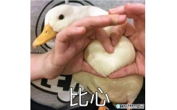 欢度国庆，你的假日补给